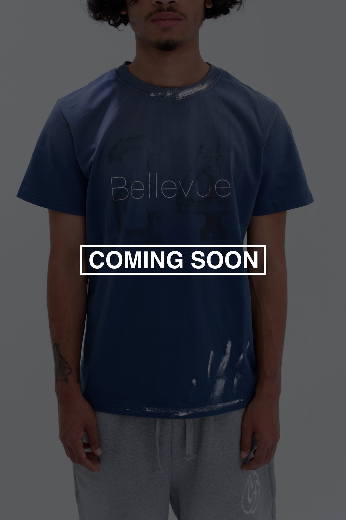 Bellevue Painter tee