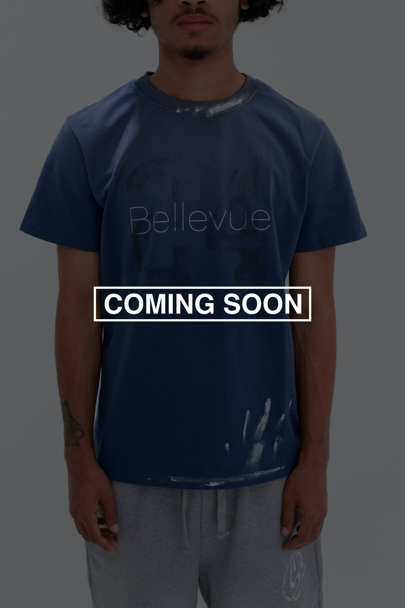 Bellevue Painter tee